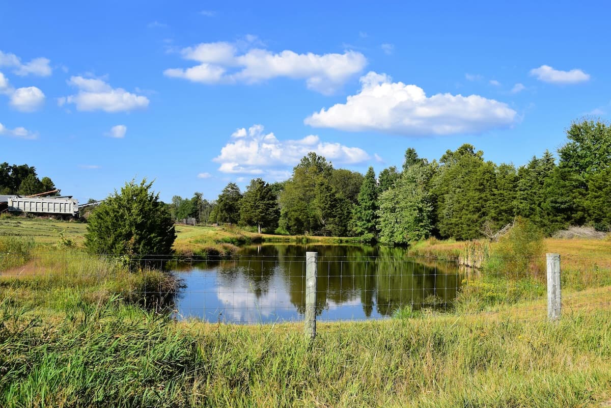 How to Plan a Farm Pond: Budget, Permits, and Timeline