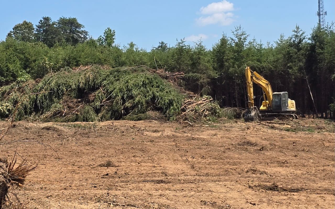 Land clearing equipment removing brush and trees